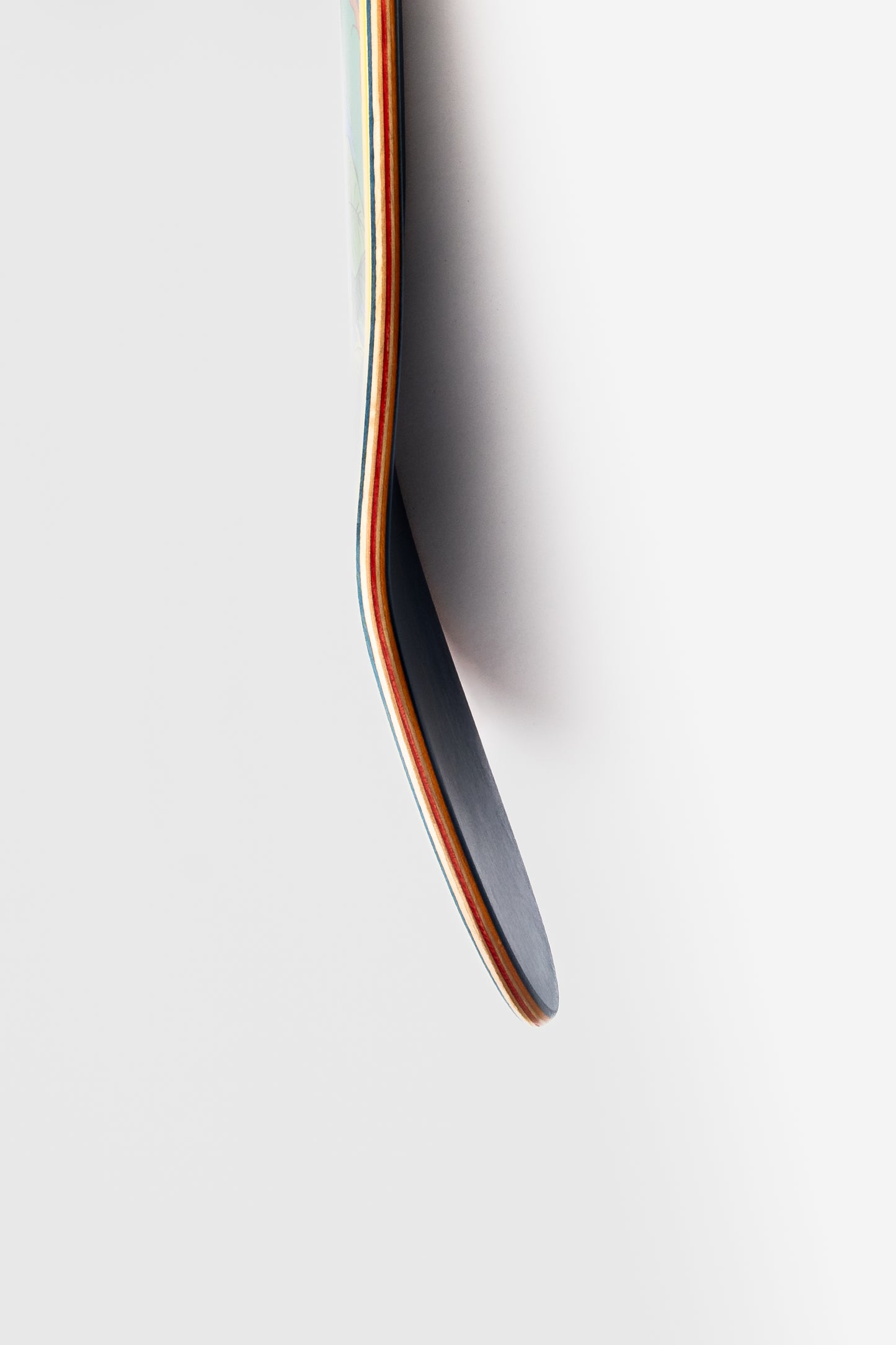 SUMMER SKATEBOARD DECK